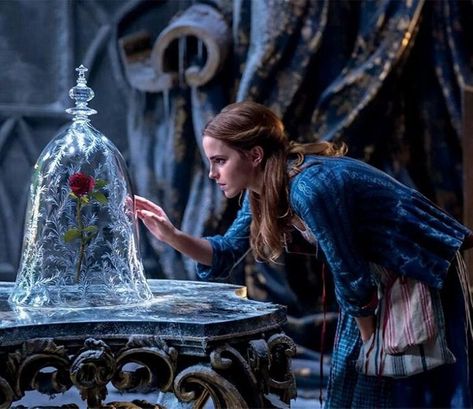 Beauty And The Beast Aesthetic, The Beast Aesthetic, Beast Aesthetic, The Beast Live Action, Beast Live Action, Disney Jigsaw Puzzles, Beast Film, Beauty And The Beast 2017, Disney Live Action Movies