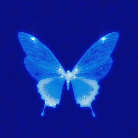 Everything Is Blue Aesthetic, Ultramarine Blue Aesthetic, Blue Butterfly Icon, Glowing Blue Butterfly, Blue Fairy Aesthetic, Blue Butterfly Aesthetic, Butterfly Pfp, Blue Collage, Everything Is Blue