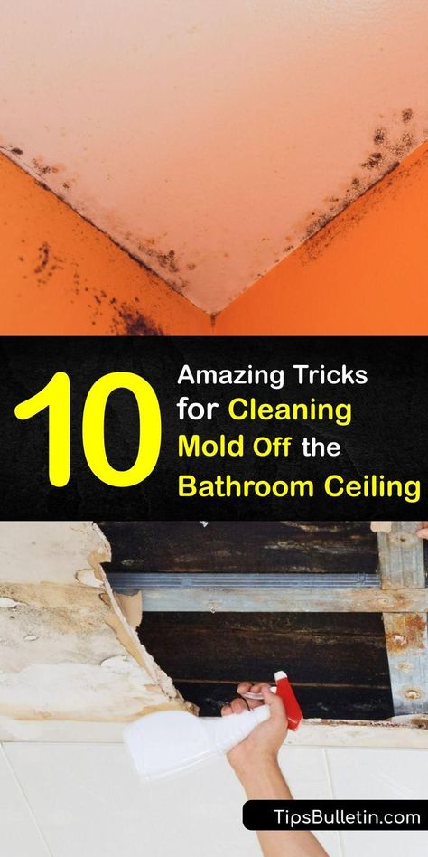 Whether you have tile or a popcorn ceiling, bathroom mold removal doesn’t have to be hard. Mold remediation halts mold growth and removes harmful mould spores. Clean mold with a DIY cleaner or white vinegar, and say goodbye to bathroom ceiling mold. #remove #mold #bathroom #ceiling Mould Cleaner Diy, Removing Mold From Bathroom Ceiling, How To Clean Mold From Bathroom Ceiling, Mold Remover Bathroom Ceiling, Bathroom Ceiling Mold Removal, How To Remove Mold From Bathroom Ceiling, How To Kill Mold In Bathroom, Cleaning Mold Off Bathroom Ceiling, Remove Mold From Ceiling Bathroom