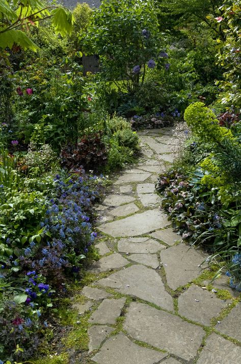 flagstone path with moss.. and beautiful landscaping :) Rustic Pathways, Flagstone Pathway, Stone Paths, Garden Walkways, Stone Patios, Stepping Stone Paths, Stones For Garden, Flagstone Path, Walkway Landscaping