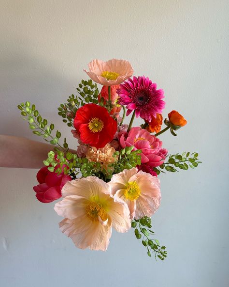 Of course @northerly.flora only supplies us with the most joyful, vibrant, and stand alone Poppies 🌸 local season has only just begun and we already can’t get enough. Red Poppy Flower Bouquet, Icelandic Poppies Bouquet, Poppy Wedding Flowers, Poppy Wedding Bouquet, Poppies Bouquet, Poppy Flower Bouquet, Poppy Aesthetic, February Flowers, Planting Poppies