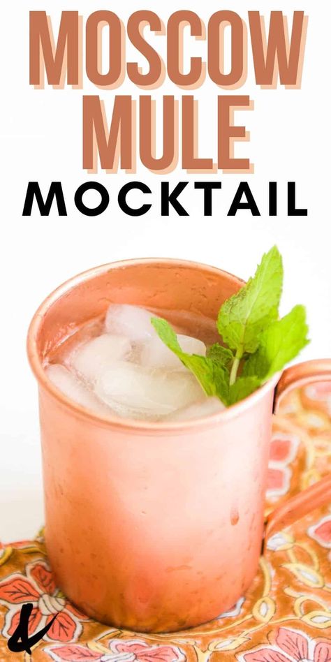 Mocktails Gingerale, Virgin Moscow Mule, Virgin Cocktail Recipes, Ginger Beer Drinks, Summer Mocktail Recipes, Refreshing Mocktail, Best Non Alcoholic Drinks, Easy Mocktails, Virgin Cocktails