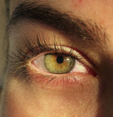 Eye Colours Aesthetic, Aesthetic Eye Colors, Green Eye Photography, Pretty Green Eyes Aesthetic, Hazel Yellow Eyes, Green Eye Reference, Yellow Hazel Eyes, Green Eyes With Gold Flecks, Green Hazel Eyes Aesthetic