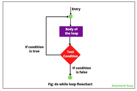 JavaScript do while loop statement Javascript Tutorial, While Loop, Python Programming, Basic Concepts, Flow Chart, Programming, Pie Chart, Quick Saves