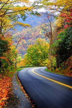 Beautiful Autumn bend. Era Victoria, Road Pictures, Fall Nature, Blur Photo Background, Beautiful Roads, Trip Planner, Dslr Background Images, Photo Background Images, Autumn Scenery