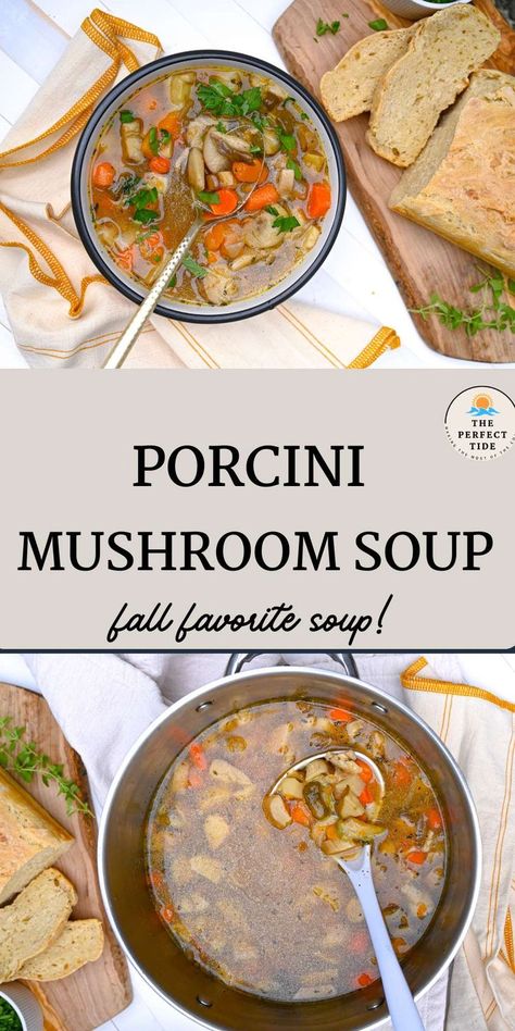 One of the best porcini mushroom recipes is the Porcini Mushroom soup that's the perfect comforting fall soup! With wild mushrooms after a fun day of foraging in the PNW! Porcini Mushroom Soup, Porcini Mushroom Recipes, Porcini Soup, Wild Mushroom Recipes, Porcini Mushroom, Mushroom Soup Recipe, Mushroom Recipe, Mushroom Soup Recipes, Fall Soup