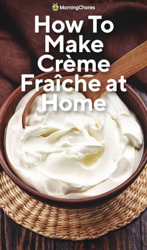 Dairy Free Creme Fraiche, Vanilla Creme Fraiche, How To Make Creme Fraiche, Cream Fresh Recipes Creme Fraiche, Creme Fresh Recipe, Cream Fraiche Recipe, Crème Fresh, Clotted Cream Recipes, Creme Fraiche Sauce