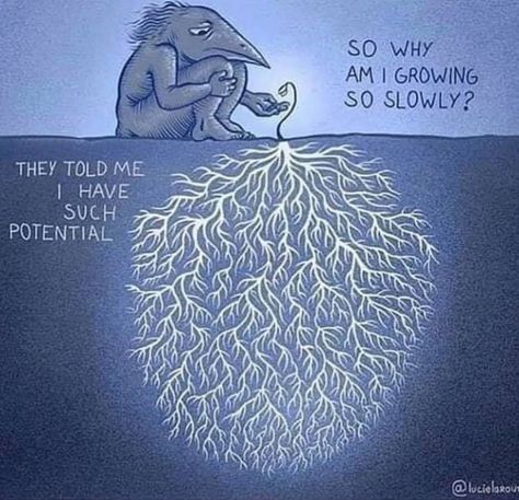 It takes PATIENCE 🌱🌳 for NEW GOOD things to unfold in life... NEVER loose hope .... EVERYTHING is working out of My highest GOOD 👀 Growing Up Quotes, Up Quotes, Leadership Quotes, Woman Quotes, Morning Quotes, Wisdom Quotes, Reign, Words Quotes, Words Of Wisdom