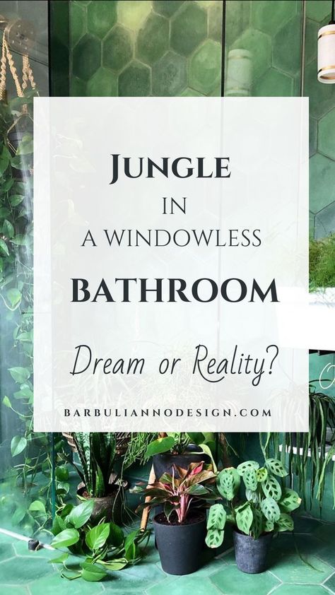 Plants For A Bathroom, Bathroom Plants No Sunlight, Bathroom Plants Low Light, Bathroom Without Windows, Indoor Plants Bathroom, Bathroom Plants Decor, Best Bathroom Plants, Windowless Bathroom, Best Indoor Plants