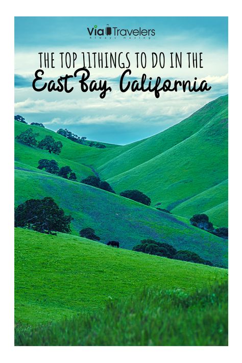 Bay Area Things To Do, Things To Do In The Bay Area, Things To Do In Bodega Bay, Bay Area Day Trips, Bodega Bay California Things To Do, Things To Do In Carlsbad California, Things To Do Bay Area, Cal State East Bay, East Bay Area