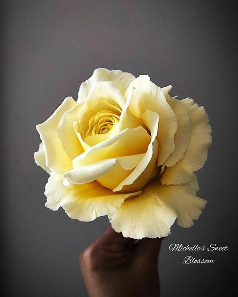 Artist Makes Amazing Realistic Sugar Flowers That Are Hard To Believe Are Not Real Flower Art With Real Flowers, Michelle Nguyen, Eating Flowers, Frosting Flowers, Sugar Flowers Cake, Sugar Flowers Tutorial, Fondant Flower Tutorial, Wafer Paper Flowers, Gumpaste Flowers