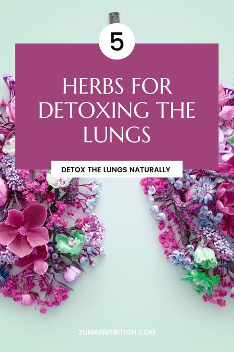 What are the Top 5 Herbs for Lung Health? While using natural herbs to detox the lungs is an excellent way to support respiratory health, it is still important to care for your lungs in other ways if you truly want to be holistic in your approach to respiratory health. Herbs For Lung Health, Tea For Cough, Bay Leaf Tea, Clean Lungs, Detox Herbs, Apple Plant, Lung Detox, Best Teas, Rosemary Tea