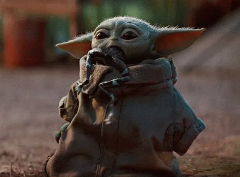 Baby Yoda Frog GIF - BabyYoda Yoda Baby - Discover & Share GIFs Yoda Gif, Bebe Yoda, Yoda Images, Yoda Quotes, Yoda Meme, Geek House, Yoda Wallpaper, Star Wars Meme, Anakin Vader