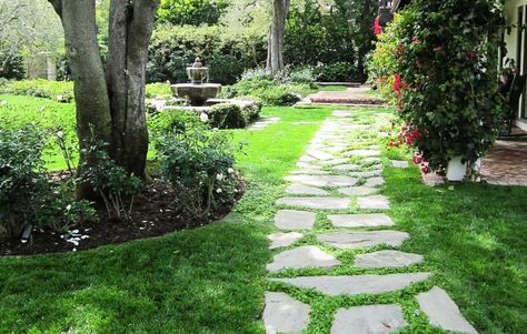 Planting the right ground cover plants between pavers in your garden helps prevent weeds and erosion, all while adding color and texture to the space. Stone Paths, Garden Walkways, Budget Landscaping, Backyard Walkway, Walkway Landscaping, Concrete Stepping Stones, Front Walk, Walkway Ideas, Brick Garden