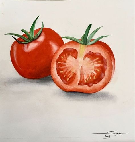 Painting Of Tomatoes, Tomato Watercolor Paintings, Tomato Painting Watercolors, Paintings Of Vegetables, Watercolour Food Art, Watercolour Fruit Painting, Watercolour Tomato, Watercolor Paintings Food, Fruits Watercolor Painting