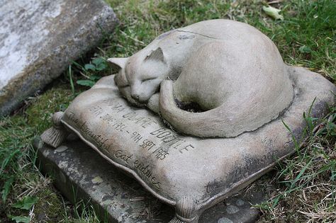 cat on a pillow, a unique headstone Highgate Cemetery, Cemetery Monuments, Cemetery Statues, Grave Stones, Pet Cemetery, Cemetery Headstones, Old Cemeteries, Cemetery Art, Grave Markers