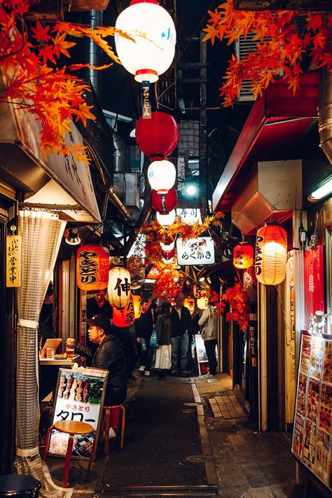 Omoide Yokocho Alley, Tokyo Street Wallpaper, Streets Of Tokyo, Tokyo Culture, Tokyo Moodboard, Japanese Street Aesthetic, Old Tokyo, Tokyo Street Aesthetic, Tokyo Street Photography