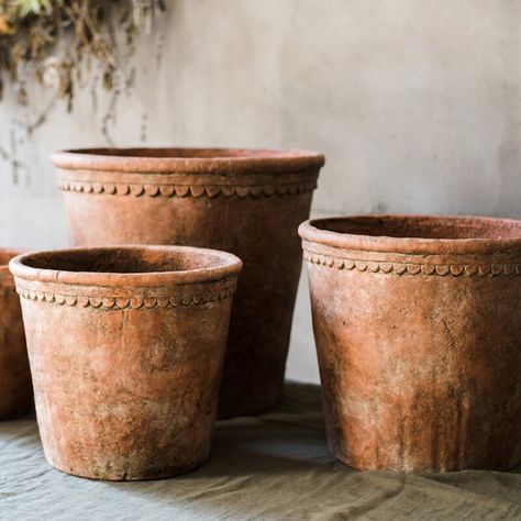 Bungalow Rose Keilson Ceramic Pot Planter & Reviews | Wayfair Large Outdoor Planters, Terracotta Plant Pots, Concrete Planter, Terracotta Planter, Large Planters, Concrete Planters, From Santa, Outdoor Planters, Succulent Pots