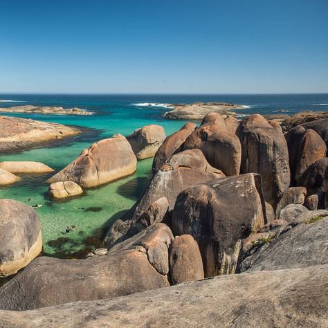 Swim at Elephant Rocks Beach, Elephant Rocks Beach Western Australia Travel, Australia Bucket List, Green Pool, Elephant Rock, Perth Australia, Beach Australia, Natural Pool, Travel Australia, Pool Beach