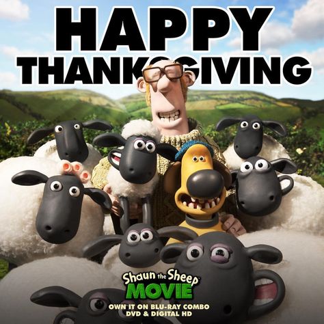 Shaun would like to wish ewe a Happy Thanksgiving! Enjoy celebrating with your flock and those who you are thankful for! #ShaunTheSheep Movie now available on Blu-ray combo, DVD & Digital HD in the US! Aardman Animations, Animation Stop Motion, Feels Like Summer, Nickelodeon Cartoons, Shaun The Sheep, The Sheep, Cartoons Series, Cartoon Shows, Kinds Of Music