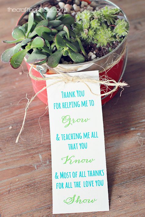 A low-maintenance succulent planter is the perfect, unexpected gift for teacher. | teacher’s gift Teacher Appreciation Poems, Teacher Poems, Easy Teacher Gifts, Teacher Treats, Teachers Diy, Presents For Teachers, School Teacher Gifts, Diy Teacher Gifts, Teacher Thank You