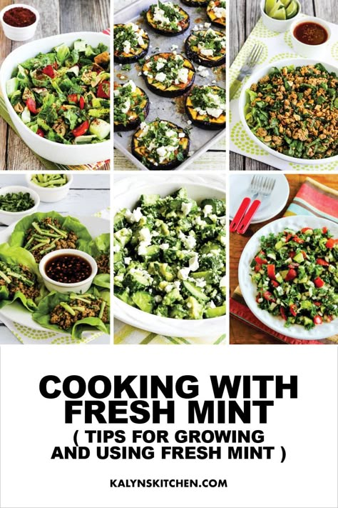 Pinterest image for Cooking with Fresh Mint, showing 6 photos of recipes with mint.