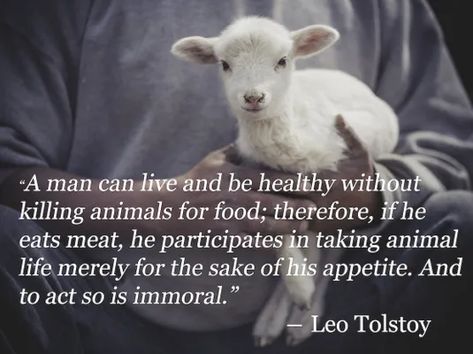 8 Amazing Quotes That Might Just Convert You To Vegetarianism | HuffPost Life Vegetarian Quotes, Reasons To Be Vegan, Reasons To Go Vegan, World Vegetarian Day, Vegan Facts, Vegan Memes, Vegetarian Lifestyle, Animal Activism, Vegan Quotes