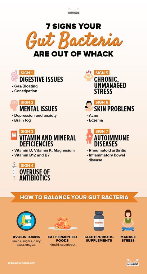 Stomach Bacteria, Nutrition Day, Healing Salve, Makeup Tip, Health Signs, Gut Bacteria, Gut Healing, Leaky Gut, Nutrition Education