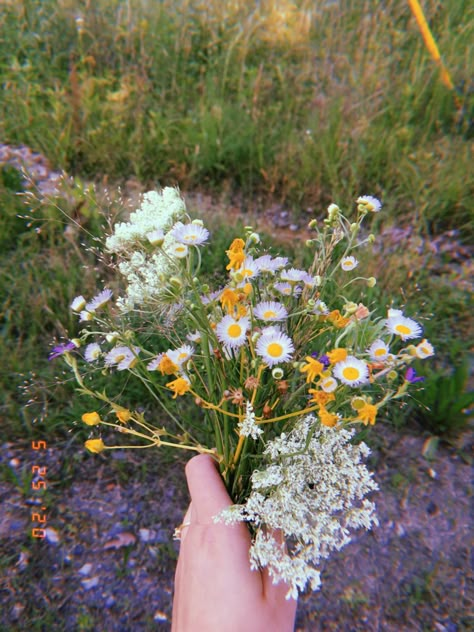 Dharma Aesthetic, Peeta Mellark Aesthetic, Woodsboro High School, Homestead Aesthetic, Picking Wildflowers, Painting Wildflowers, Type Of Flowers, Flower Therapy, I Love Flowers