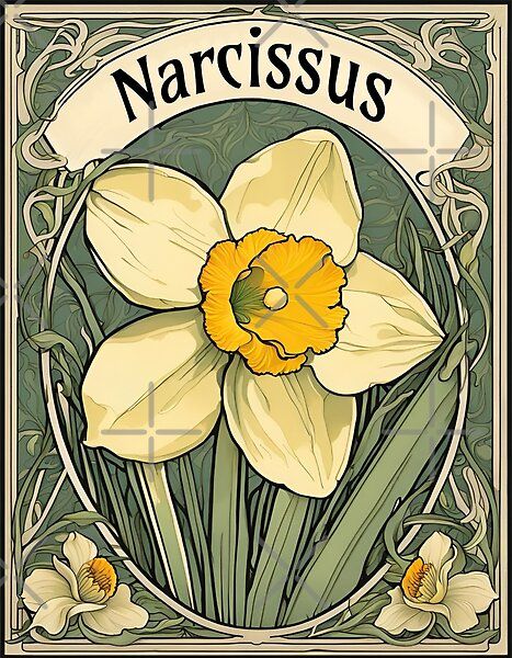 A captivating Art Nouveau portrayal of Narcissus, the December birth flower. Delicate and intricate, the artwork merges vintage charm with botanical elegance, offering a timeless and enchanting depiction of nature's beauty. Narssicus Flower, Narcissus Daffodils, Art Nouveau Flowers Illustration, Flower Art Nouveau, December Flower, December Birth Flower, Narcissus Flower, Art Nouveau Flowers, Daffodil Flower