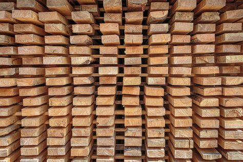 9 Types of Wood You Shouldn’t Burn Solar Kiln, Garage Storage Solutions, Wood Store, Live Tree, Pressure Treated Wood, Wood Burning Fires, Family Handyman, Buy Wood, Green Wood