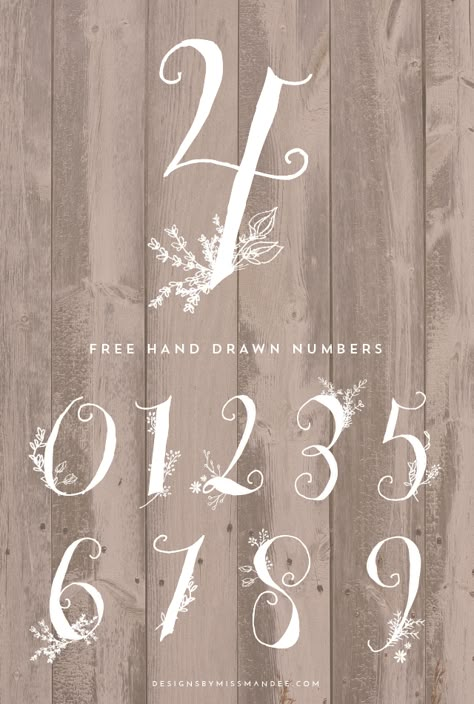 Stunning Hand Drawn Numbers - Designs By Miss Mandee Best Number Fonts, Nightmare Before Christmas Font, Christmas Fonts Alphabet, Font Numbers, Alphabet Christmas, Christmas Fonts Free, Number Fonts, Holiday Fonts, Fonts Christmas