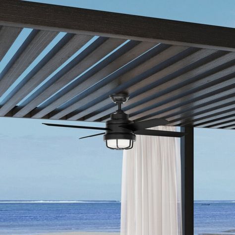 Hunter Fan 54'' Searow 4 - Blade Outdoor LED Standard Ceiling Fan with Wall Control and Light Kit Included & Reviews | Wayfair Bamboo Ceiling, Porch Lights, Hunter Ceiling Fans, Black Hunter, Pool Cabana, Best Ceiling Fans, Backyard Remodel, Salt Air, Backyard Pergola