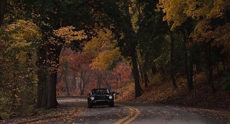 Leaves On The Ground, Autumn Leaves Falling, Leaves Falling, Autumn In New York, Fall Mood Board, Gilmore Girl, Season Of The Witch, Fall Time, Fall 24