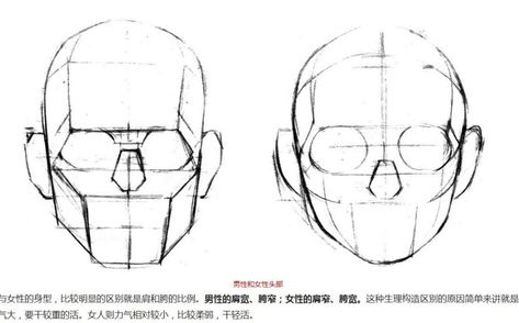 얼굴 드로잉, Human Anatomy Drawing, Body Drawing Tutorial, Human Anatomy Art, Anatomy Sketches, Body Reference Drawing, Anatomy For Artists, Human Head, Facial Features