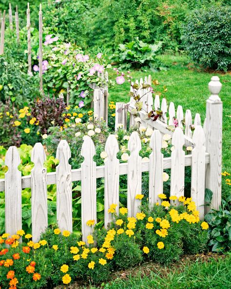 All About Picket Fences - This Old House Napa Garden, Georgia Gardening, Picket Fence Gate, Picket Fence Garden, Picket Fence Ideas, Wood Picket Fence, Garden Gates And Fencing, Garden Fences, Picket Fences