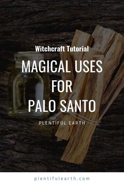 Pablo Santo Wood Use, How To Use Palo Santo, When To Burn Palo Santo, How To Burn Palo Santo Wood, Pablo Santo Wood Benefits, How To Use Palo Santo Sticks, Palo Santo Burner, Palo Santo Smudging Prayer, Paleo Santo