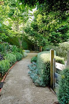 Walkway Landscaping, Gardening Design, Veggie Patch, Cottage Garden Design, Australian Garden, Gravel Garden, Garden Walkway, Garden Shrubs, Cottage Gardens