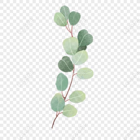 Wedding Plants, Eucalyptus Wedding, Watercolor Wedding, Green Plants, Plant Leaves, Plants