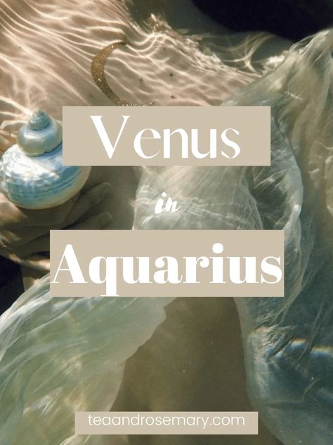 Venus In Aquarius In The Birth Chart Venus In Pisces Woman, Dress Like Your Venus Sign Pisces, Venus In Pisces Style Aesthetic, Venus Sign Pisces Style, Pisces In Venus Outfits, Pisces Venus Aesthetic Outfit, Venus Pisces Aesthetic, Pisces Venus Style Aesthetic, Pisces Venus Style Outfits