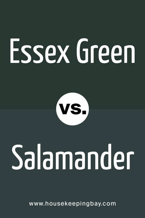 Essex Green  vs Salamander Essex Green Exterior House, Essex Green Living Room, Green Paint Colors Benjamin Moore, Green Room Colors, Benjamin Moore Green, Benjamin Moore Bedroom, Blue Green Bedrooms, Essex Green, Moody Office