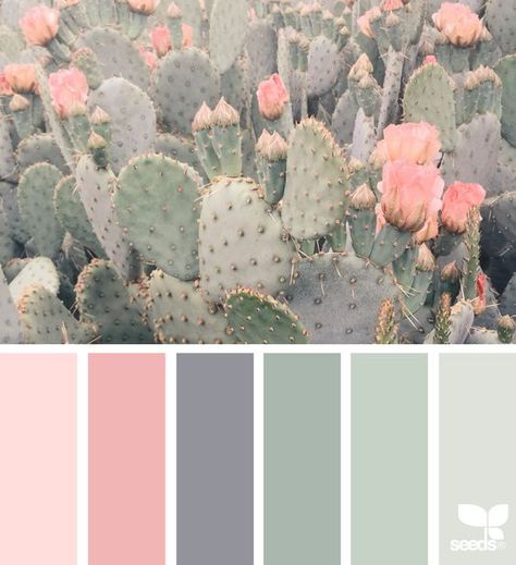 Design Seed, Apartment Color Schemes, Color Schemes Design, Baby Room Colors, Baby Room Themes, Palette Design, Girl Nursery Room, Color Schemes Colour Palettes, Bedrooms Decor