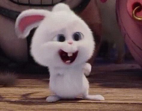 Animation Facial Expressions, Snowball Rabbit, Cinemagraph Gif, Meme Photo, Phone Wallpapers Tumblr, Day And Nite, Rabbit Gif, Bunny Dance, Cartoon Artwork