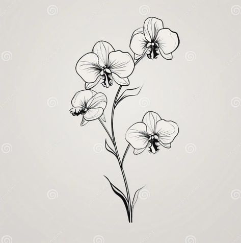 Lavender Orchids, Orchid Drawing, Line Drawing Tattoos, Tattoos 2023, Tattoo Placements, Orchid Tattoo, Flower Reference, Tattoo Patterns, Flower Line Drawings