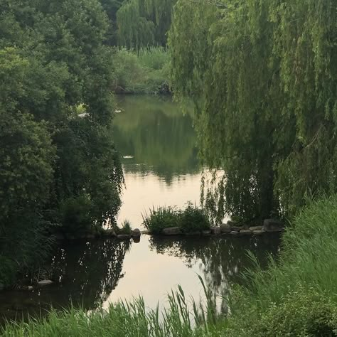 Forest Green Aesthetic, Foto Muro Collage, 숲 사진, Dark Naturalism, Trondheim, A Pond, Nature Aesthetic, Pretty Places, Green Aesthetic