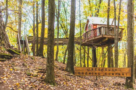 15 Romantic Weekend Getaways In Ohio To Reconnect And Relax Tree House Masters, Ohio Weekend Getaways, Day Trips In Ohio, Ohio Is For Lovers, Luxury Tree Houses, Camping In Ohio, Cozy Camping, Lake George Village, Treehouse Hotel