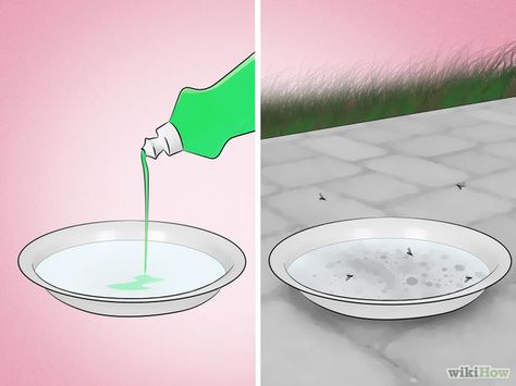 How to Get Rid of Mosquitoes Mosquito Trap Diy, Repellent Diy, Mosquitoes Remedies, Mosquito Repellent Homemade, Mosquito Traps, Diy Mosquito Repellent, Bug Repellant, Natural Mosquito Repellant, Kill Mosquitos