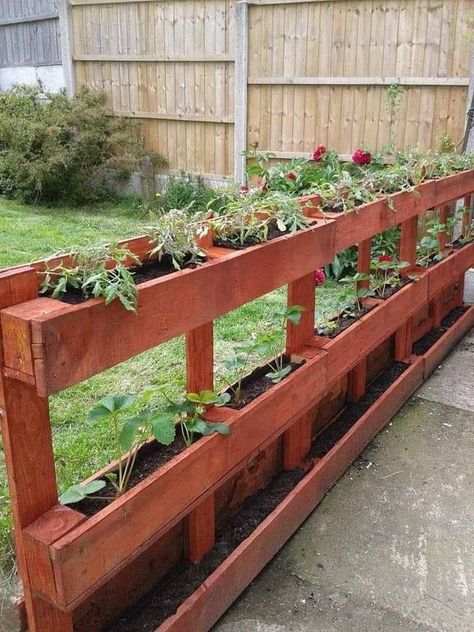 Build A Flower Bed, Bed Out Of Pallets, Garden Ideas Fence, Pallets Fence, Pallet Flower Box, Plant Pallet, Building A Garden, Build A Flower, Outdoor Pallet Projects