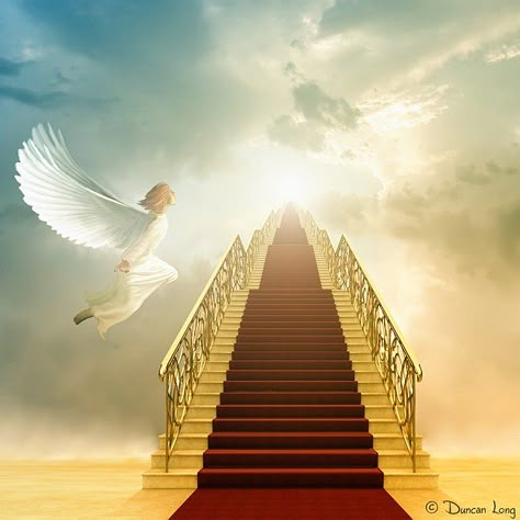 †MIGHTY WARRIOR BLOG † THE POWER OF PRAYER: Open Door of Communion Heaven Images, Heaven Pictures, Heaven Wallpaper, Stairs To Heaven, Stairways To Heaven, Heaven's Gate, Heaven Art, Way To Heaven, Prophetic Art