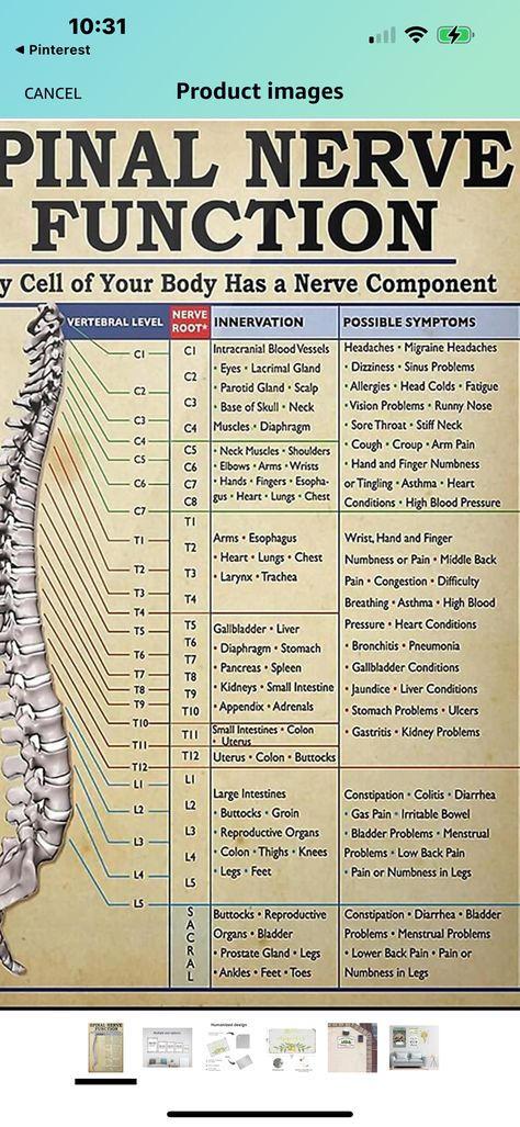 Healthy Soups And Stews, Parotid Gland, Sinus Problems, Spinal Nerve, Stiff Neck, Healthy Soups, Health Video, Heart And Lungs, Federal Bureau Of Investigation